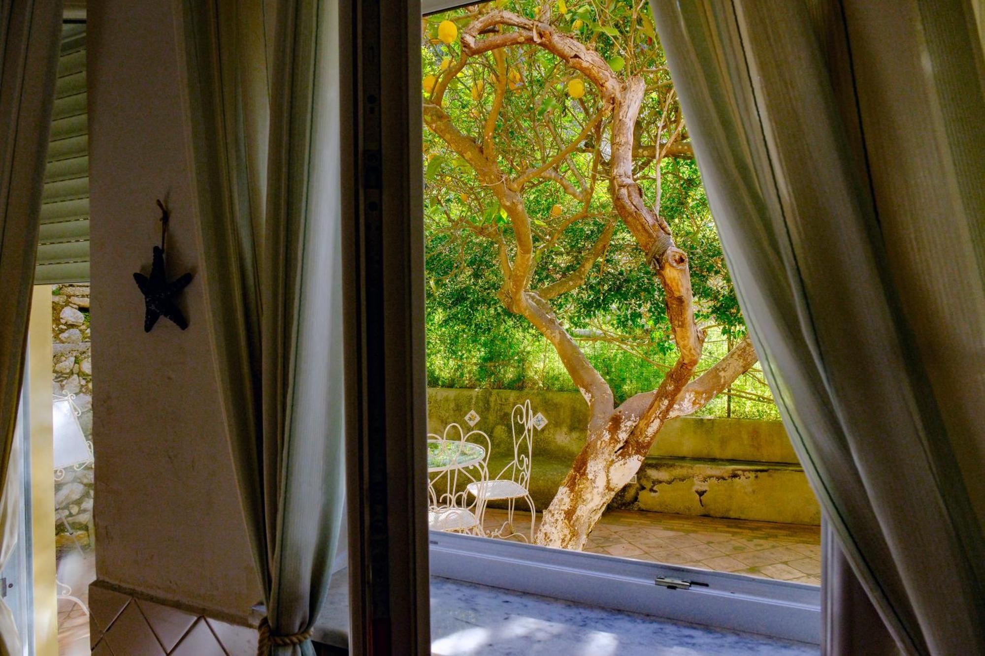 Villa Dorothee Capri Habitación foto